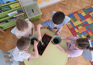 przedszkolaki sadzą nasiona warzyw i kwiatów