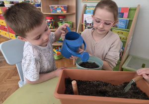przedszkolaki sadzą nasiona warzyw i kwiatów