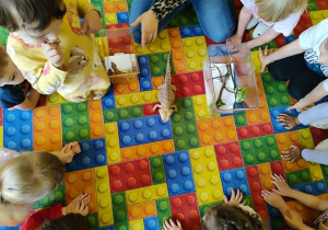 Dzieci oglądają kameleona i jaszczurki