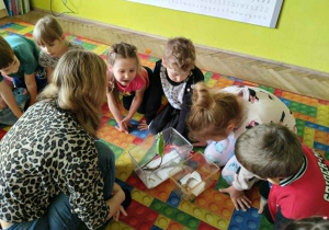 Dzieci oglądają kameleona i jaszczurki