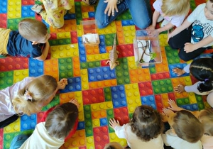 Dzieci oglądają kameleona i jaszczurki