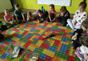 Dzieci oglądają kameleona i jaszczurki