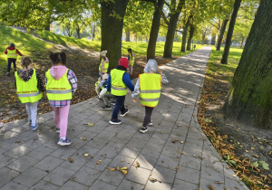 szukamy skarbów jesieni