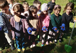 Dzieci prezentują cebulki kwiatowe