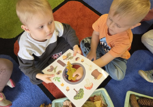 dzień drzewa u biedronek