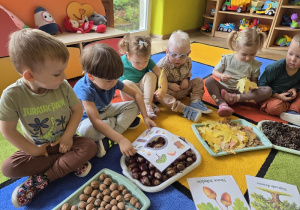 dzień drzewa u biedronek