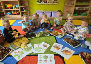 dzień drzewa u biedronek