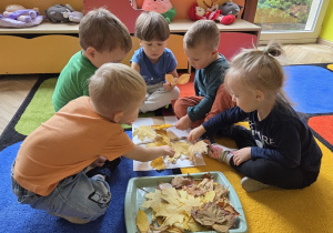 dzień drzewa u biedronek