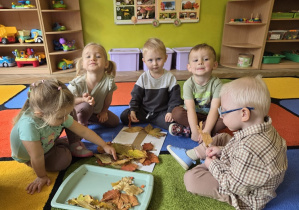 dzień drzewa u biedronek