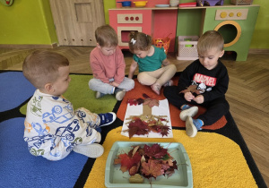 dzień drzewa u biedronek