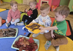 dzień drzewa u biedronek