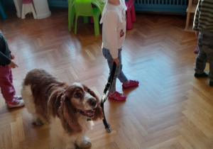 Dziewczynka spaceruje z psem
