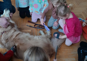 Dzieci czeszą psa