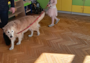 Dziewczynka prowadzi psa na smyczy
