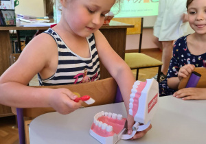 Jagoda myje zęby na modelu dentystycznym