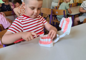 uczymy się myć zęby na modelu dentystycznym