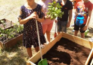 Dzieci sadzą rośliny w ogródku warzywnym