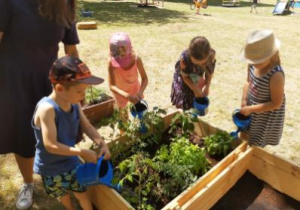 Dzieci sadzą rośliny w ogródku warzywnym