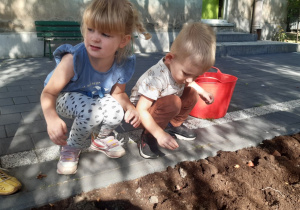Dzieci sadzą cebulki kwiatowe na rabatce