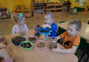Dzieci tworzą las w słoiku z przyniesionych materiałów przyrodniczych