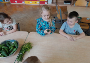 Dzieci badają ogórka