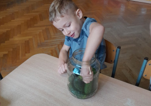 Chłopiec wkłada ogórki do słoika
