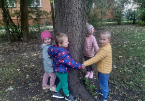 Dzieci mierzą obwód drzewa w ogrodzie przedszkolnym