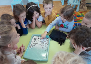 Dzieci wykonują eksperyment "Elektryczność na talerzu"