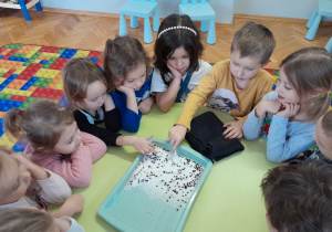 Dzieci wykonują eksperyment "Elektryczność na talerzu"