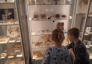 Dzieci oglądają skamieniałości