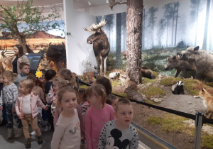 Dzieci poznają zwierzęta leśne