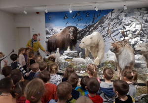 Dzieci poznają zwierzęta Arktyki