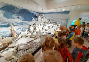 Dzieci poznają zwierzęta antarktyczne