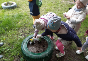 Dzieci sadzą w ogrodzie przedszkolnym kwiaty