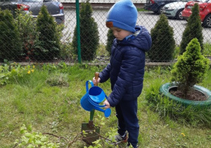 Chłopiec podlewa zasadzone drzewko