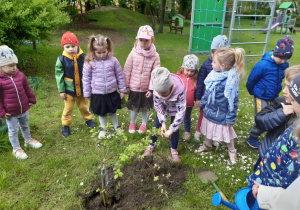 Dzieci sadzą w ogrodzie przedszkolnym drzewko