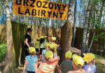 Dzieci przechodzą przez brzozowy labirynt