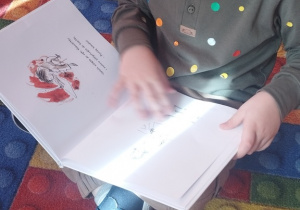 Chłopiec ogląda książkę.