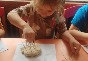 Dziewczynka wkłada kolce jeżowi