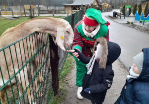 Dzieci karmią kozę marchewką