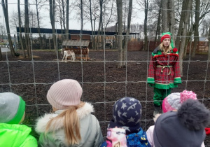 Dzieci oglądają renifery